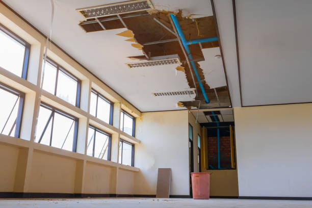  Maple Park, IL Water damage restoration Pros