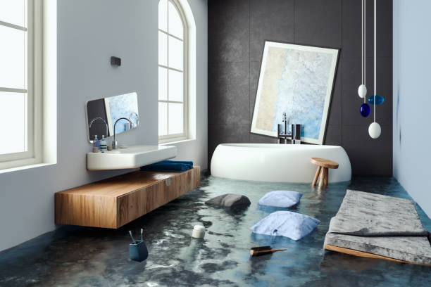 Best Flood restoration services  in Maple Park, IL