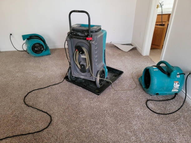 Best Fire Damage Restoration  in Maple Park, IL