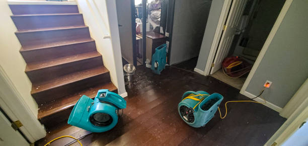 Best Commercial water damage restoration  in Maple Park, IL