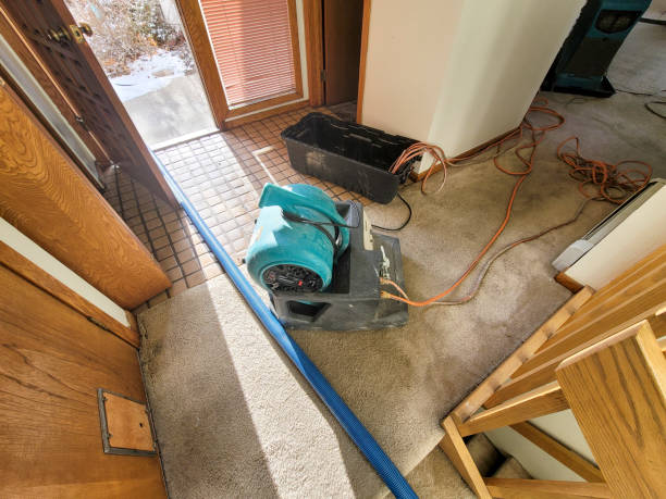 Best Flood damage cleanup  in Maple Park, IL
