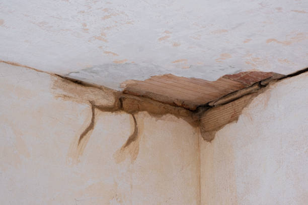 Best Basement water damage restoration  in Maple Park, IL