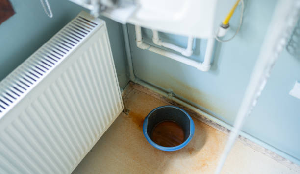Best Water damage restoration near me  in Maple Park, IL
