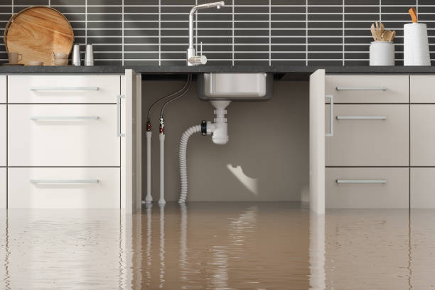 Best Fire Damage Restoration  in Maple Park, IL