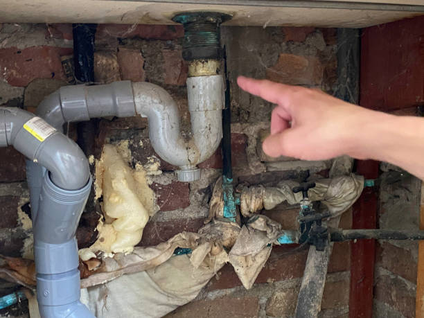 Best Flooded house restoration  in Maple Park, IL